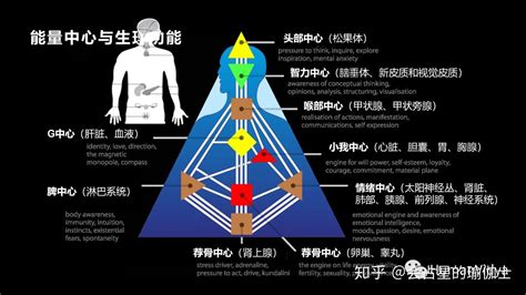 一分人 意思|看不懂自己的人类图怎么办？最全人类图表格详解